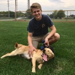 Meet your Posher, Sam